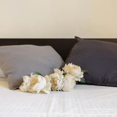 Lägenhet Innpisarentals 2- Casa Dei Cavalieri Pisa